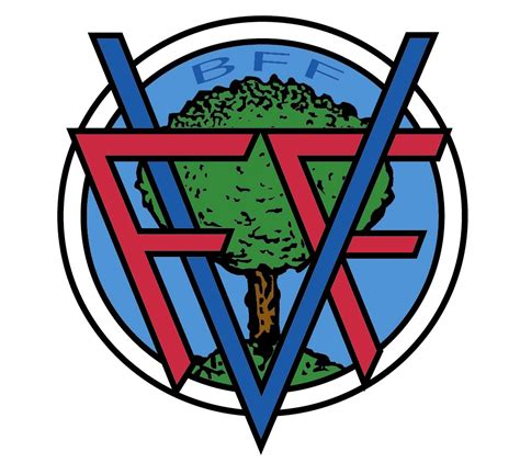 federación vizcaína de fútbol.